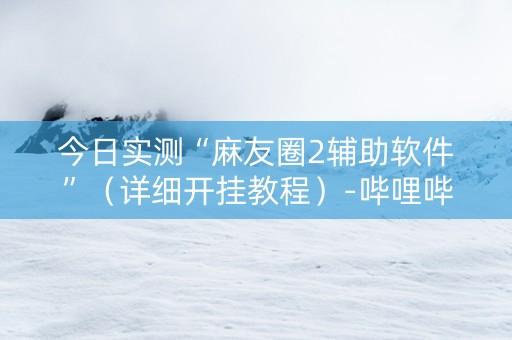 今日实测“麻友圈2辅助软件”（详细开挂教程）-哔哩哔哩