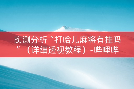 实测分析“打哈儿麻将有挂吗”（详细透视教程）-哔哩哔哩