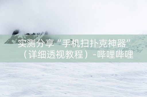 实测分享“手机扫扑克神器”（详细透视教程）-哔哩哔哩