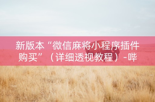 新版本“微信麻将小程序插件购买”（详细透视教程）-哔哩哔哩
