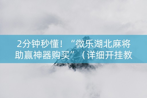 2分钟秒懂！“微乐湖北麻将助赢神器购买”（详细开挂教程）-哔哩哔哩
