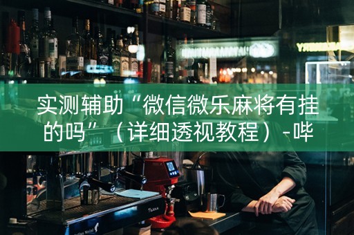 实测辅助“微信微乐麻将有挂的吗”（详细透视教程）-哔哩哔哩