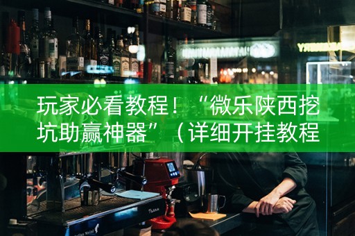 玩家必看教程！“微乐陕西挖坑助赢神器”（详细开挂教程）-哔哩哔哩