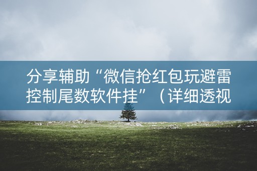 分享辅助“微信抢红包玩避雷控制尾数软件挂”（详细透视教程）-哔哩哔哩