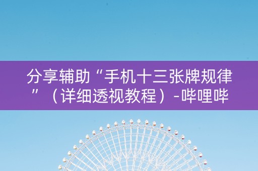 分享辅助“手机十三张牌规律”（详细透视教程）-哔哩哔哩
