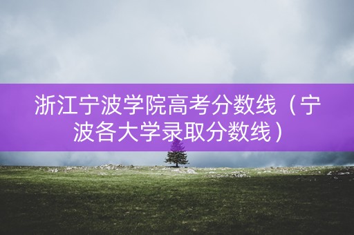 浙江宁波学院高考分数线（宁波各大学录取分数线）