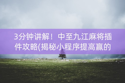 3分钟讲解！中至九江麻将插件攻略(揭秘小程序提高赢的概率)