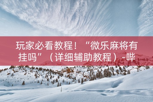玩家必看教程！“微乐麻将有挂吗”（详细辅助教程）-哔哩哔哩