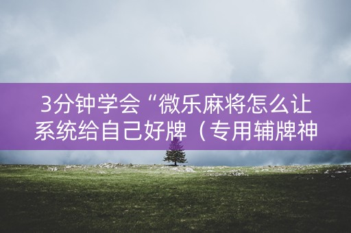 3分钟学会“微乐麻将怎么让系统给自己好牌（专用辅牌神器免安装）