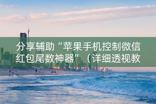 分享辅助“苹果手机控制微信红包尾数神器”（详细透视教程）-哔哩哔哩