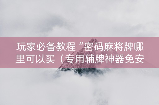 玩家必备教程“密码麻将牌哪里可以买（专用辅牌神器免安装）