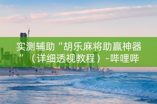 实测辅助“胡乐麻将助赢神器”（详细透视教程）-哔哩哔哩
