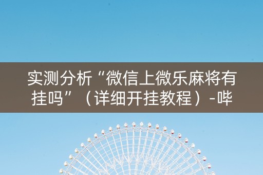实测分析“微信上微乐麻将有挂吗”（详细开挂教程）-哔哩哔哩