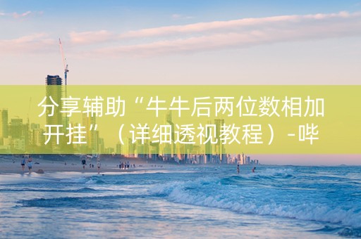 分享辅助“牛牛后两位数相加开挂”（详细透视教程）-哔哩哔哩