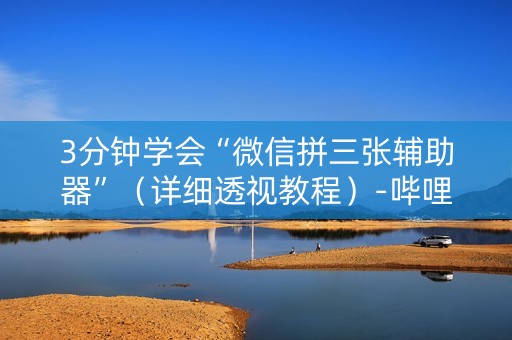 3分钟学会“微信拼三张辅助器”（详细透视教程）-哔哩哔哩