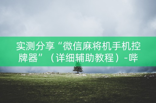 实测分享“微信麻将机手机控牌器”（详细辅助教程）-哔哩哔哩