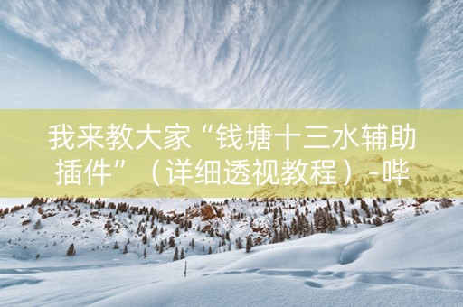 我来教大家“钱塘十三水辅助插件”（详细透视教程）-哔哩哔哩