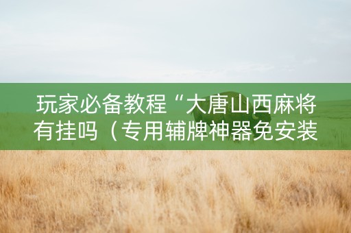 玩家必备教程“大唐山西麻将有挂吗（专用辅牌神器免安装）