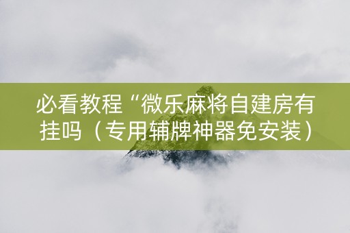 必看教程“微乐麻将自建房有挂吗（专用辅牌神器免安装）