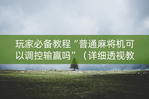 玩家必备教程“普通麻将机可以调控输赢吗”（详细透视教程）-哔哩哔哩