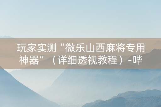 玩家实测“微乐山西麻将专用神器”（详细透视教程）-哔哩哔哩