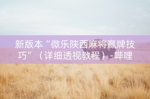 新版本“微乐陕西麻将赢牌技巧”（详细透视教程）-哔哩哔哩