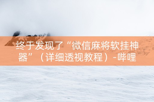 终于发现了“微信麻将软挂神器”（详细透视教程）-哔哩哔哩