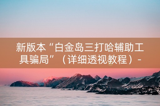 新版本“白金岛三打哈辅助工具骗局”（详细透视教程）-哔哩哔哩