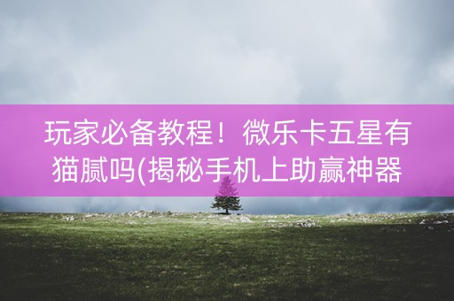 玩家必备教程！微乐卡五星有猫腻吗(揭秘手机上助赢神器购买)