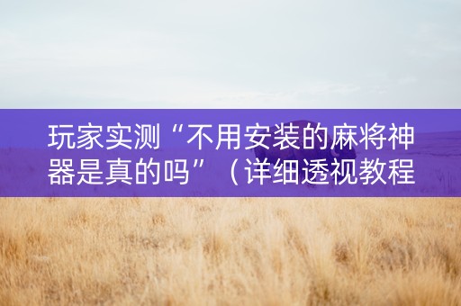 玩家实测“不用安装的麻将神器是真的吗”（详细透视教程）-哔哩哔哩