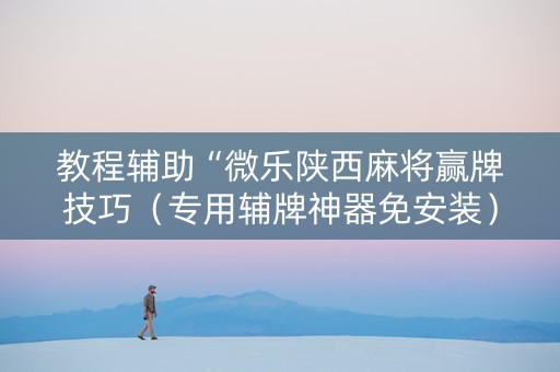 教程辅助“微乐陕西麻将赢牌技巧（专用辅牌神器免安装）