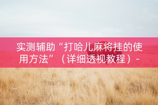 实测辅助“打哈儿麻将挂的使用方法”（详细透视教程）-哔哩哔哩