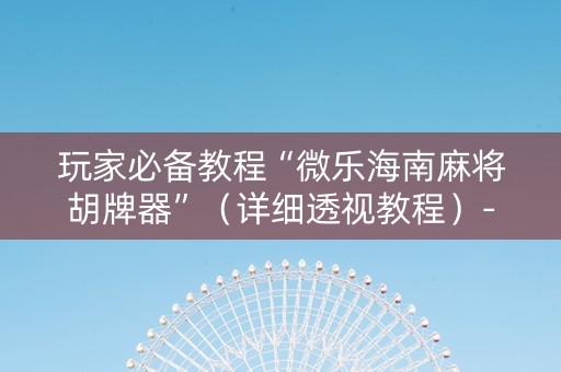 玩家必备教程“微乐海南麻将胡牌器”（详细透视教程）-哔哩哔哩