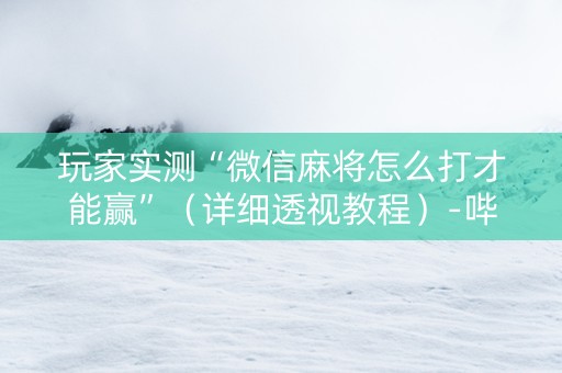 玩家实测“微信麻将怎么打才能赢”（详细透视教程）-哔哩哔哩