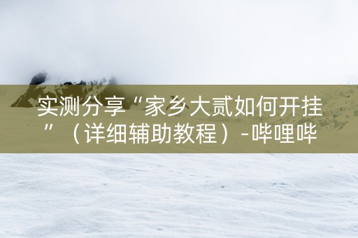 实测分享“家乡大贰如何开挂”（详细辅助教程）-哔哩哔哩