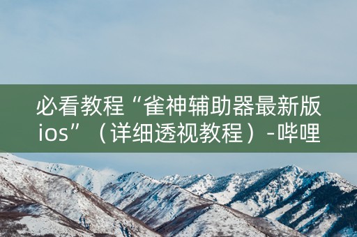必看教程“雀神辅助器最新版ios”（详细透视教程）-哔哩哔哩