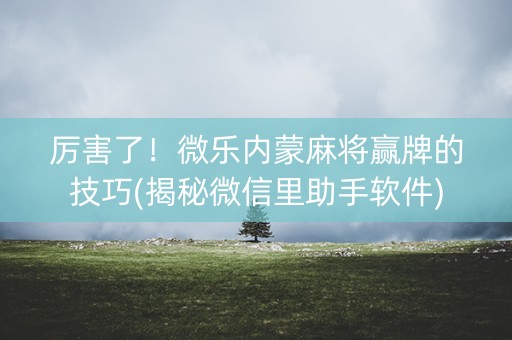 厉害了！微乐内蒙麻将赢牌的技巧(揭秘微信里助手软件)