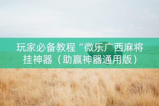 玩家必备教程“微乐广西麻将挂神器（助赢神器通用版）