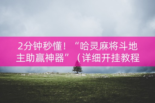 2分钟秒懂！“哈灵麻将斗地主助赢神器”（详细开挂教程）-哔哩哔哩