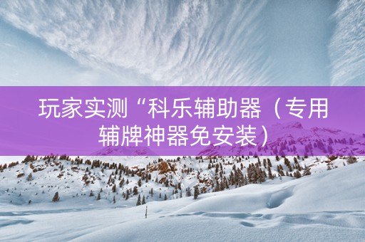 玩家实测“科乐辅助器（专用辅牌神器免安装）