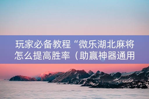 玩家必备教程“微乐湖北麻将怎么提高胜率（助赢神器通用版）