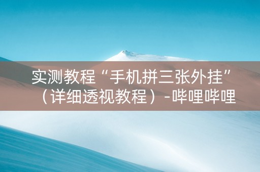 实测教程“手机拼三张外挂”（详细透视教程）-哔哩哔哩