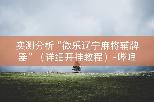 实测分析“微乐辽宁麻将辅牌器”（详细开挂教程）-哔哩哔哩