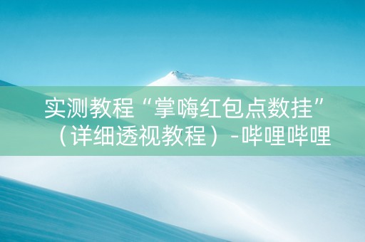 实测教程“掌嗨红包点数挂”（详细透视教程）-哔哩哔哩