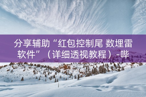 分享辅助“红包控制尾 数埋雷软件”（详细透视教程）-哔哩哔哩