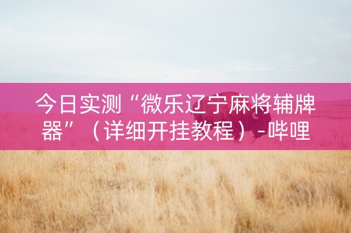 今日实测“微乐辽宁麻将辅牌器”（详细开挂教程）-哔哩哔哩