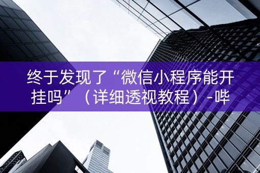 终于发现了“微信小程序能开挂吗”（详细透视教程）-哔哩哔哩