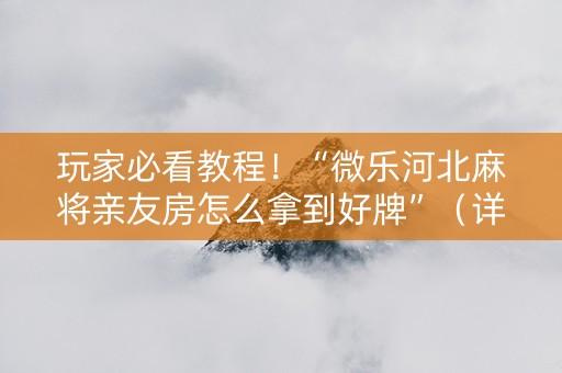 玩家必看教程！“微乐河北麻将亲友房怎么拿到好牌”（详细开挂教程）-哔哩哔哩