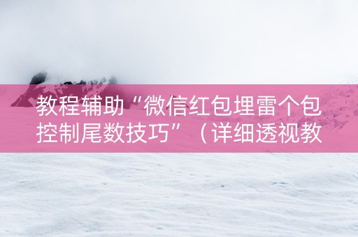 教程辅助“微信红包埋雷个包控制尾数技巧”（详细透视教程）-哔哩哔哩