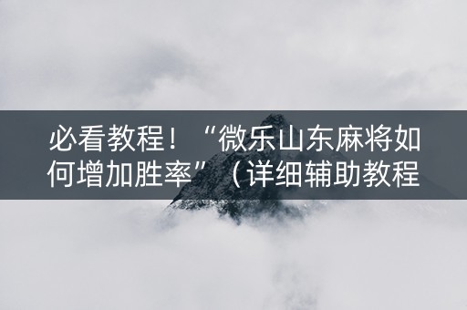 必看教程！“微乐山东麻将如何增加胜率”（详细辅助教程）-哔哩哔哩
